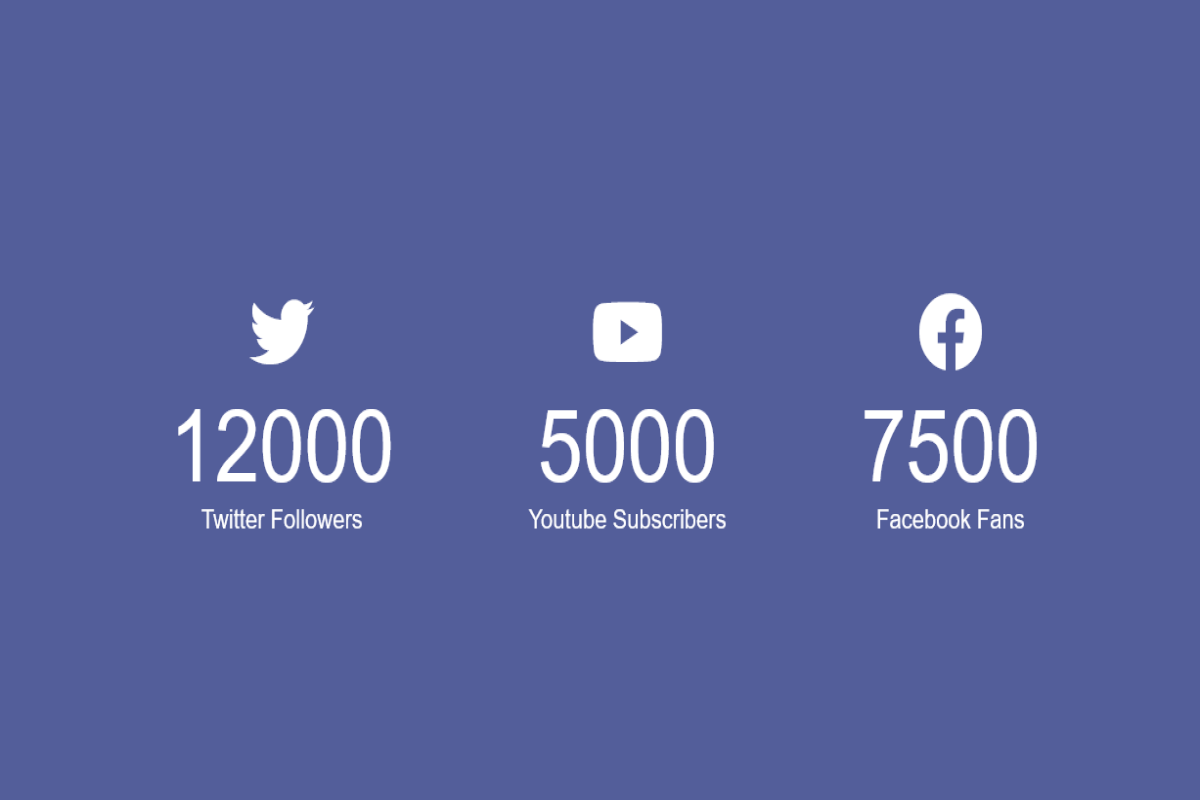 Social Media Followers Anime